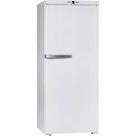 FN 24062 ws Freestanding Freezer Miele Frost Free 1