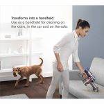 dyson V8 animal + cord free vacuum transforms to handheld