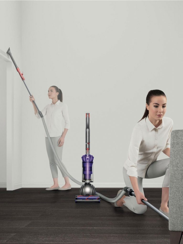 Dyson Small Ball Upright Animal 2 vacuum cleaner