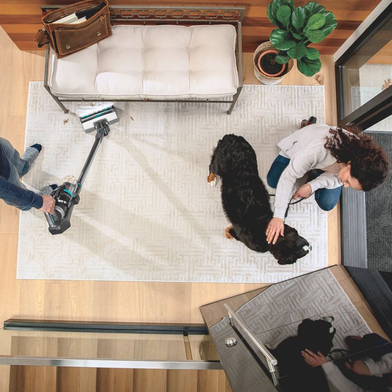 Bissell 2602E Icon Pet Cordless Vacuum Cleaner Snellings Gerald Giles