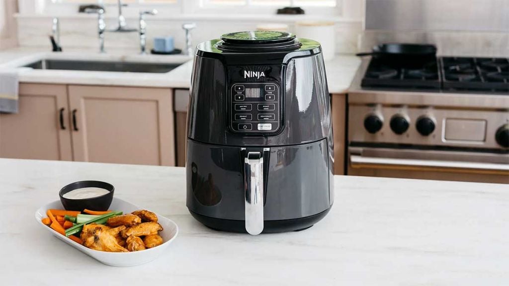 Finally cleaned my Ninja Foodi Dual Zone air fryer. : r/airfryer