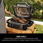 Ninja electric BBQ and grill