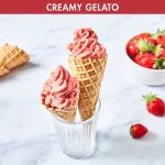 Magimix gelato ice cream maker