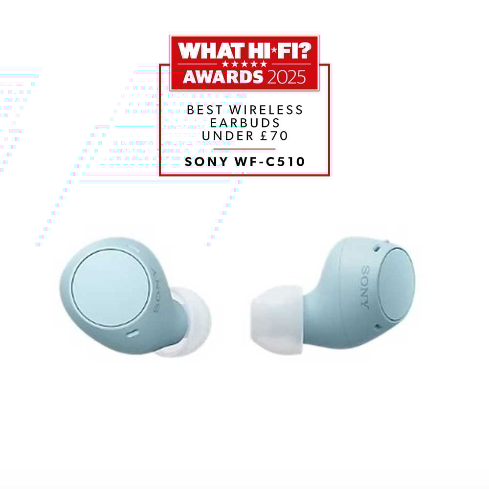 Sony WFC510L.CE7 Wireless In ear headphones - Blue