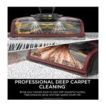 Shark EX220UK CarpetXpert Hair Pro Pet Deep Carpet Cleaner - Grey/Brugundy