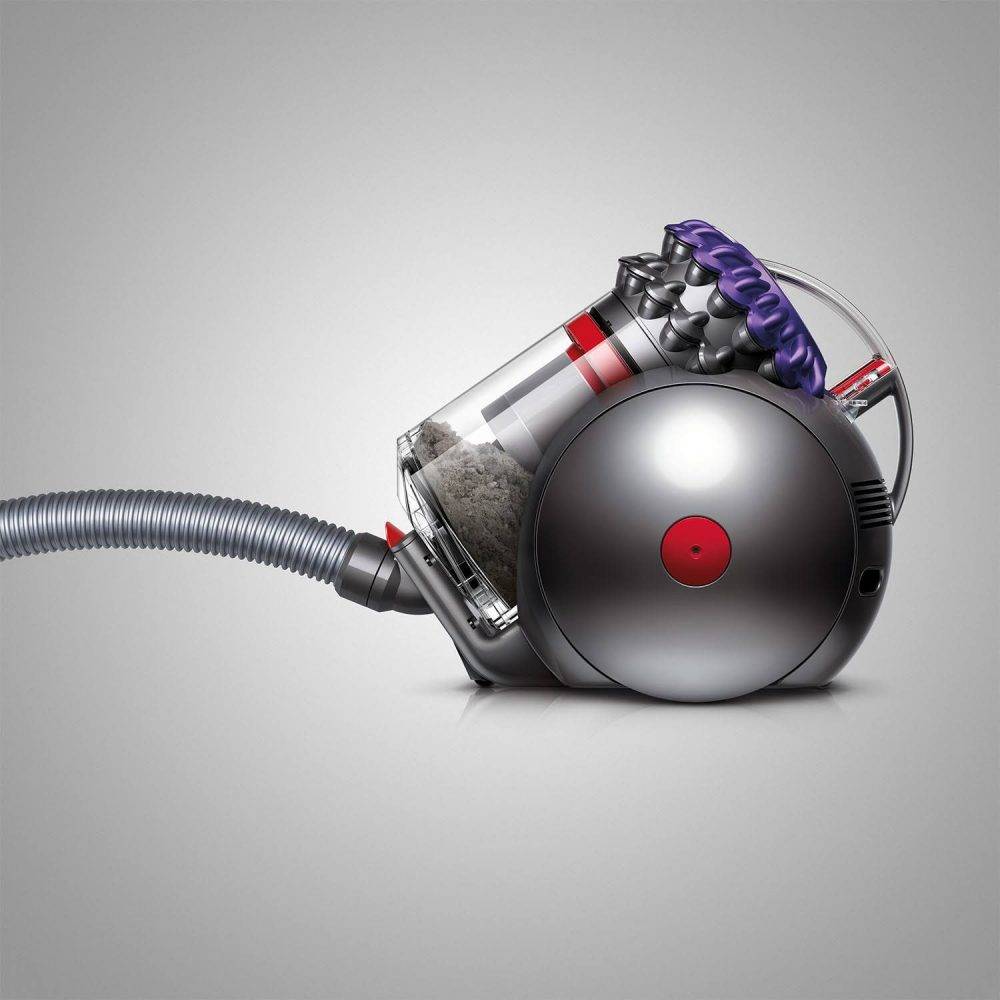 Dyson Big Ball Animal 2+ Cylinder Vacuum Cleaner Gerald Giles