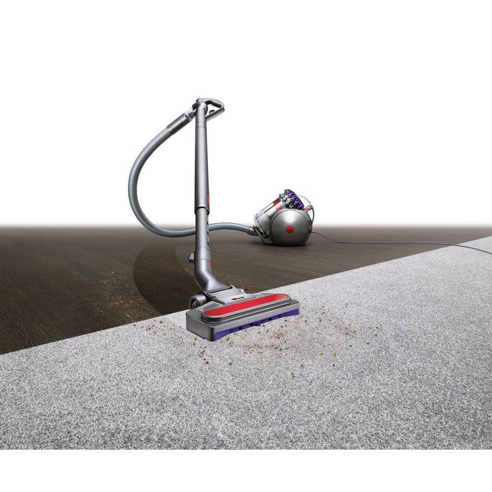 Dyson Big Ball Animal 2+ Cylinder Vacuum Cleaner Gerald Giles